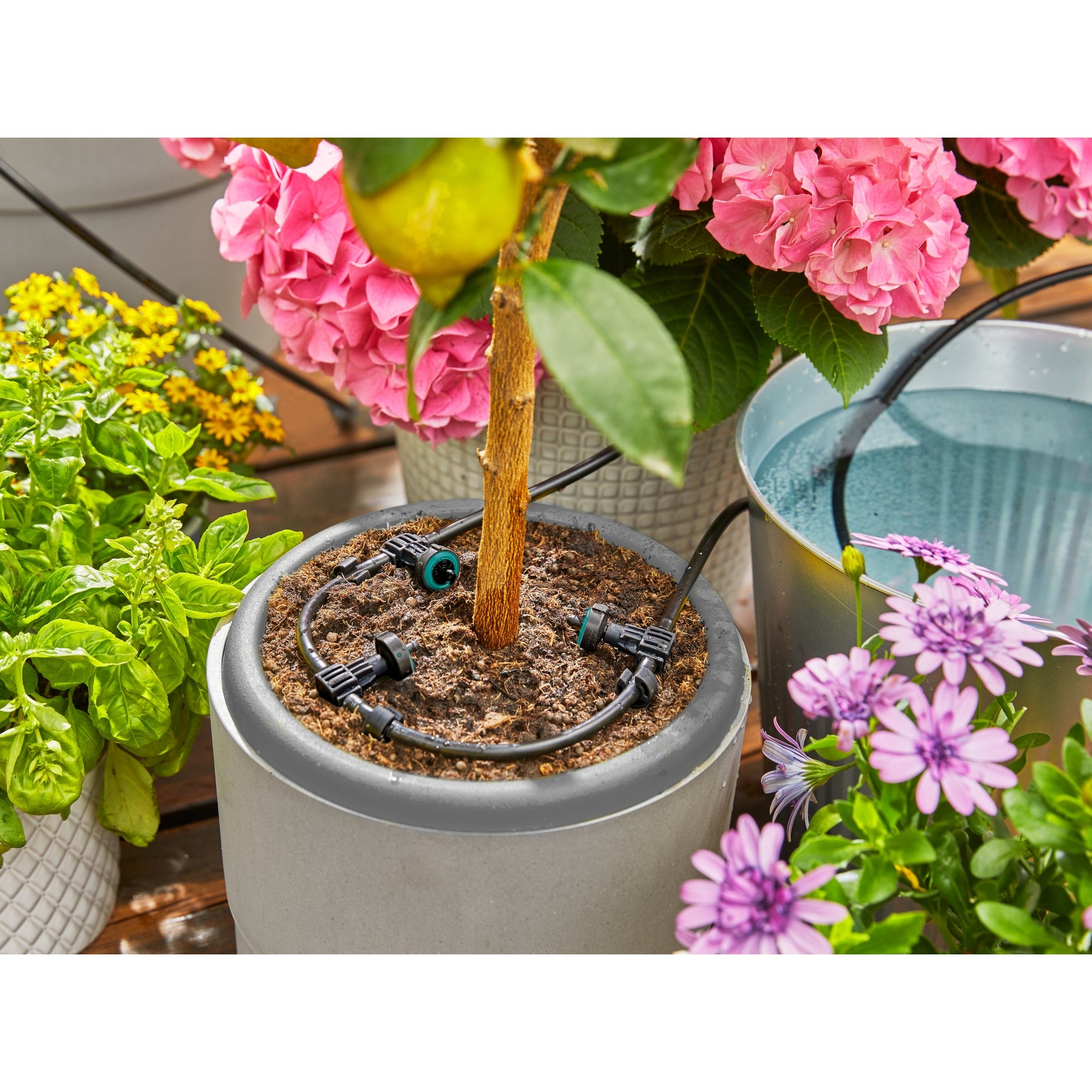 Gardena Bewässerungssystem AquaBloom