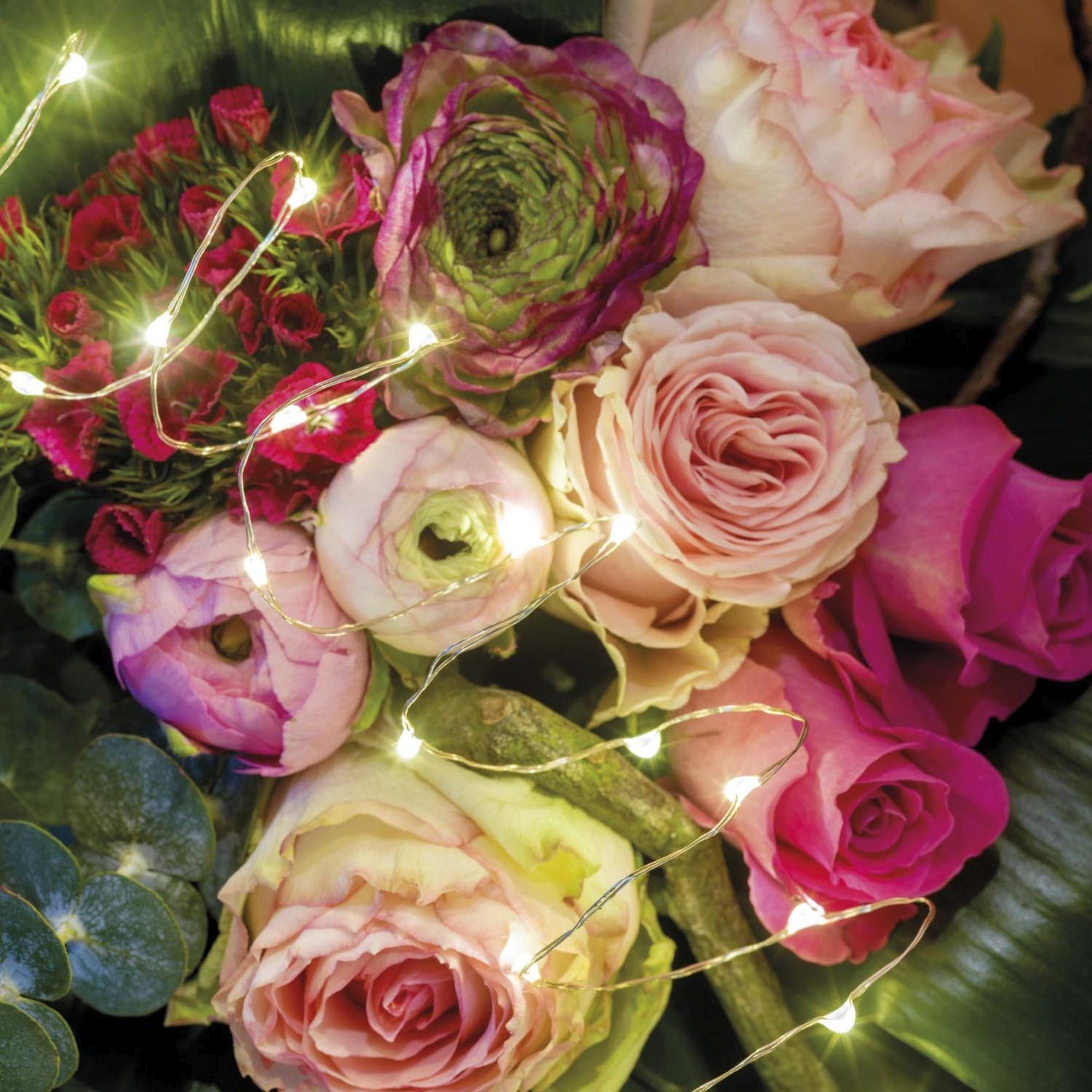 Lumineo Lichterkette