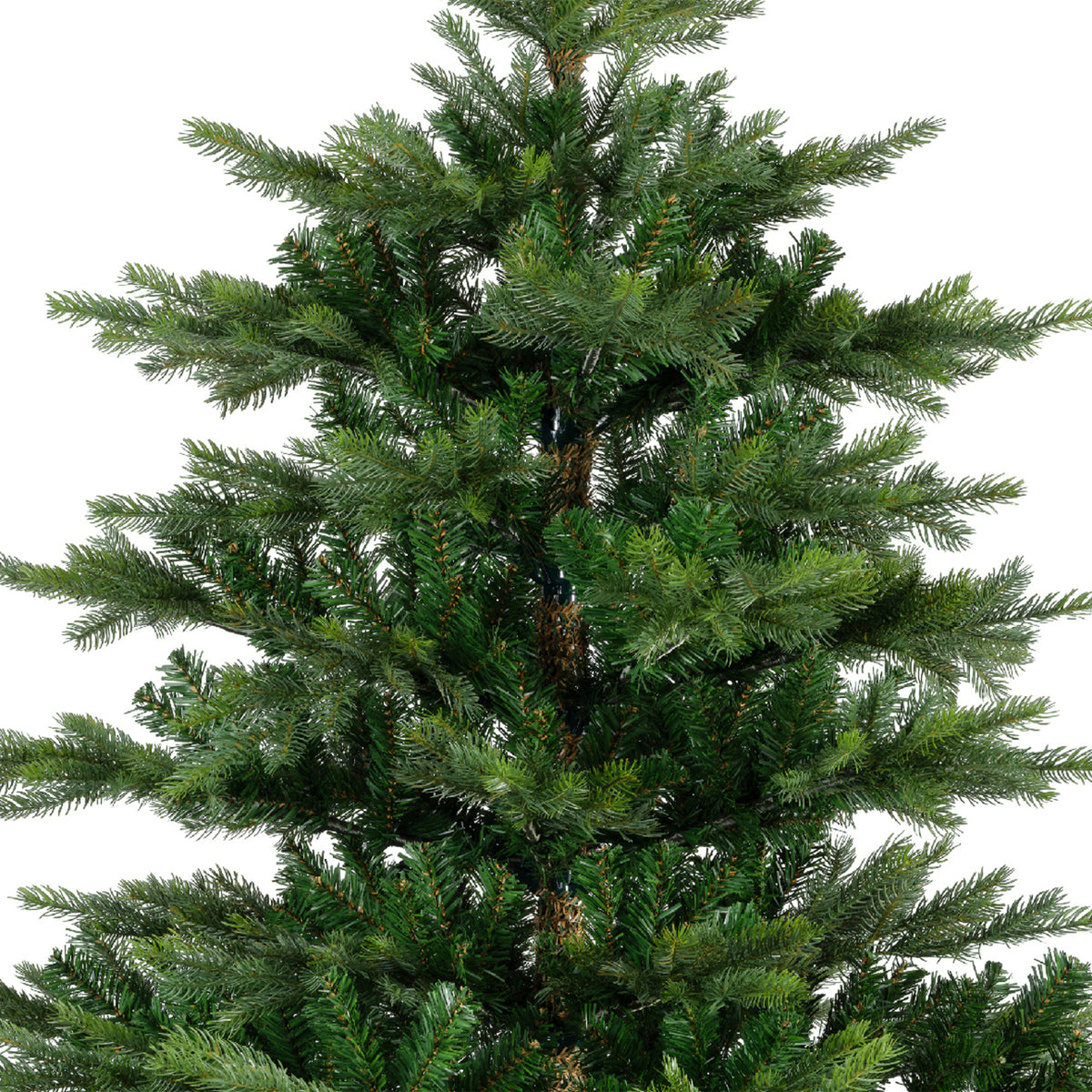 Everlands Weihnachtsbaum Grandis Fir