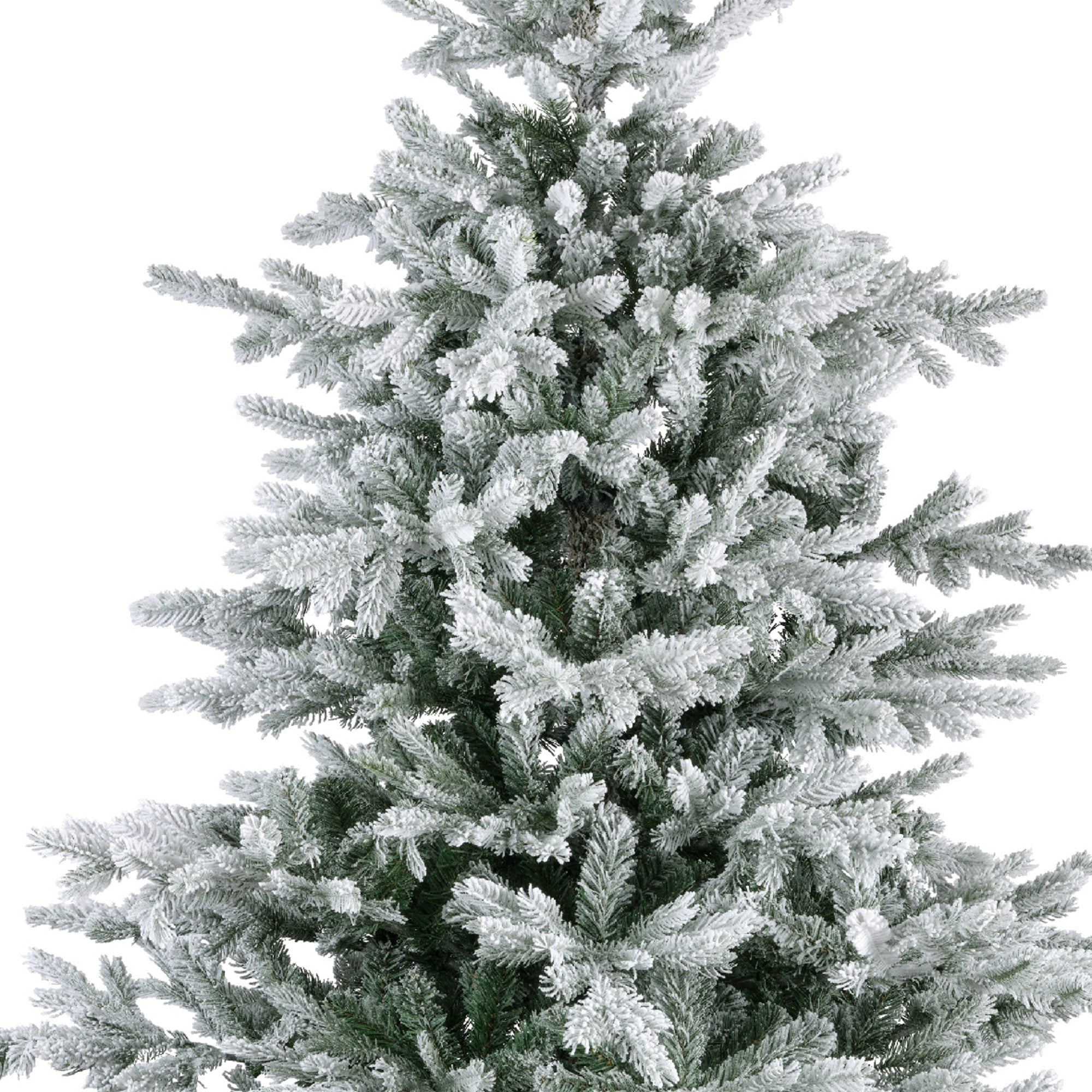 Everlands Weihnachtsbaum Grandis Fir