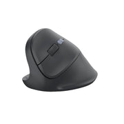 Hama Optische PC Maus EWM-500L