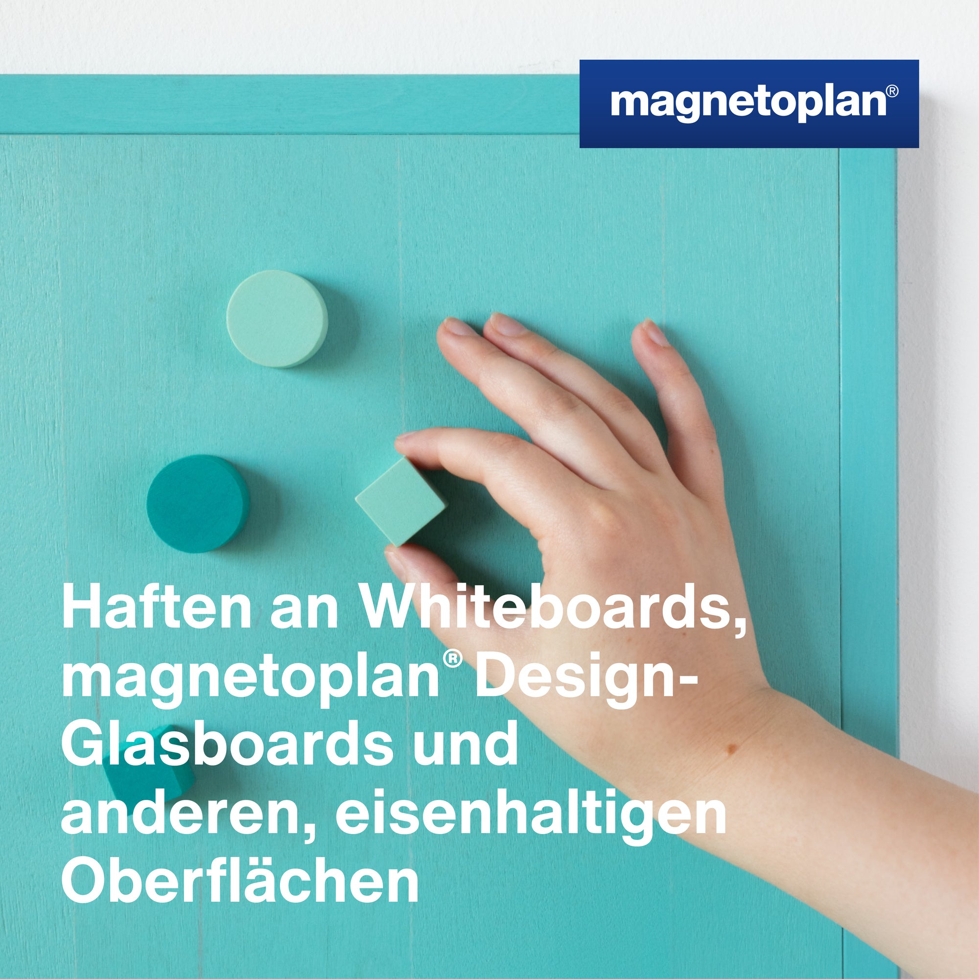 magnetoplan Magnet Design Wood Series