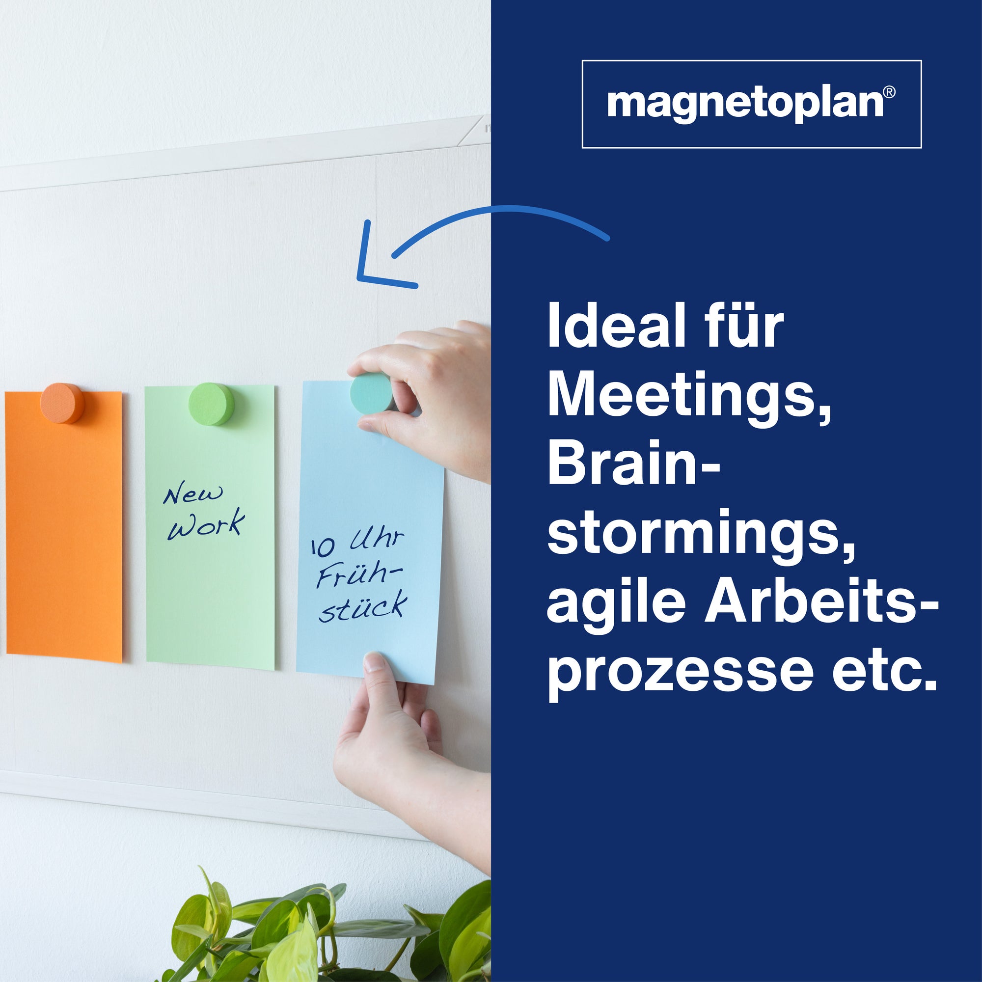 magnetoplan Moderationskarte