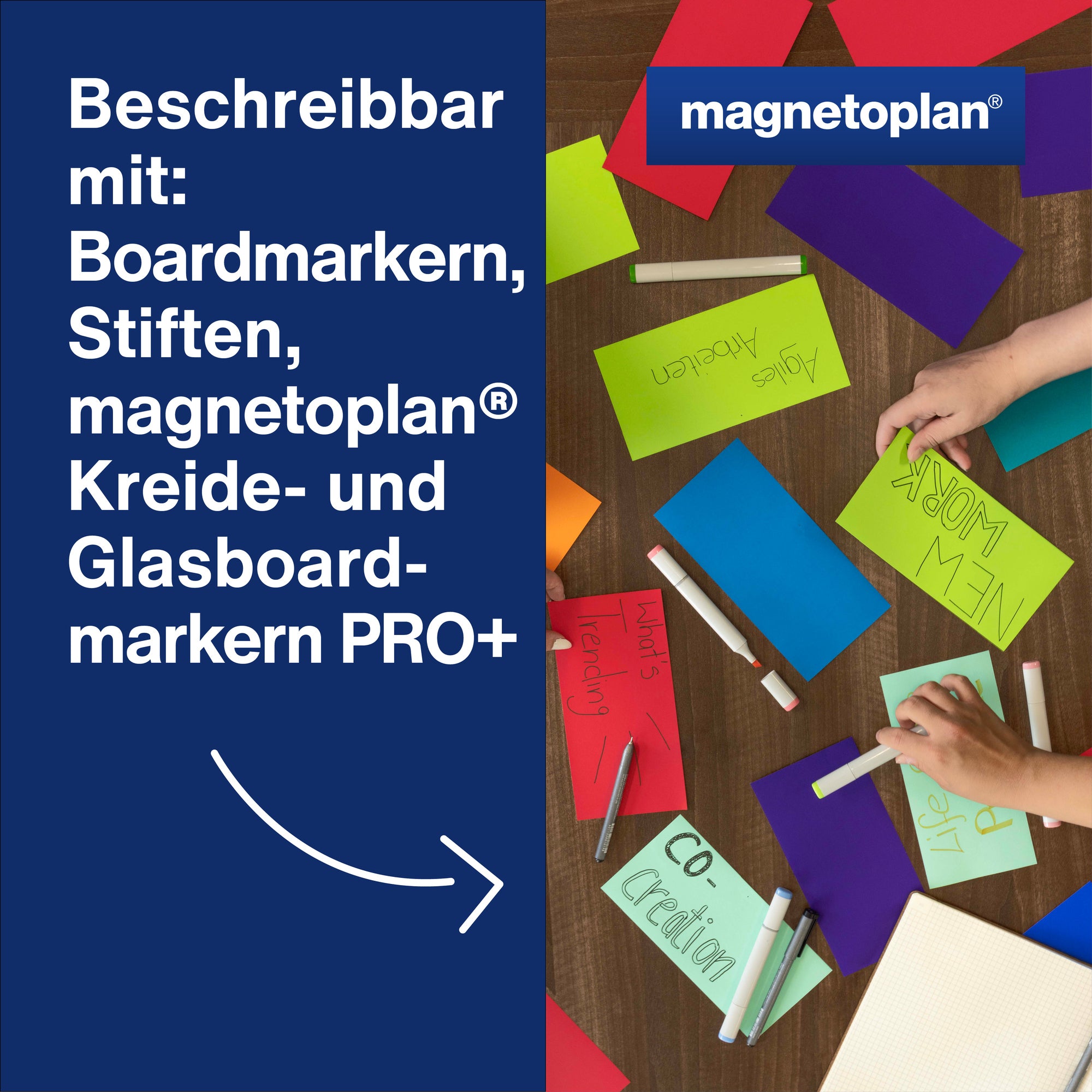 magnetoplan Moderationskarte Rainbow