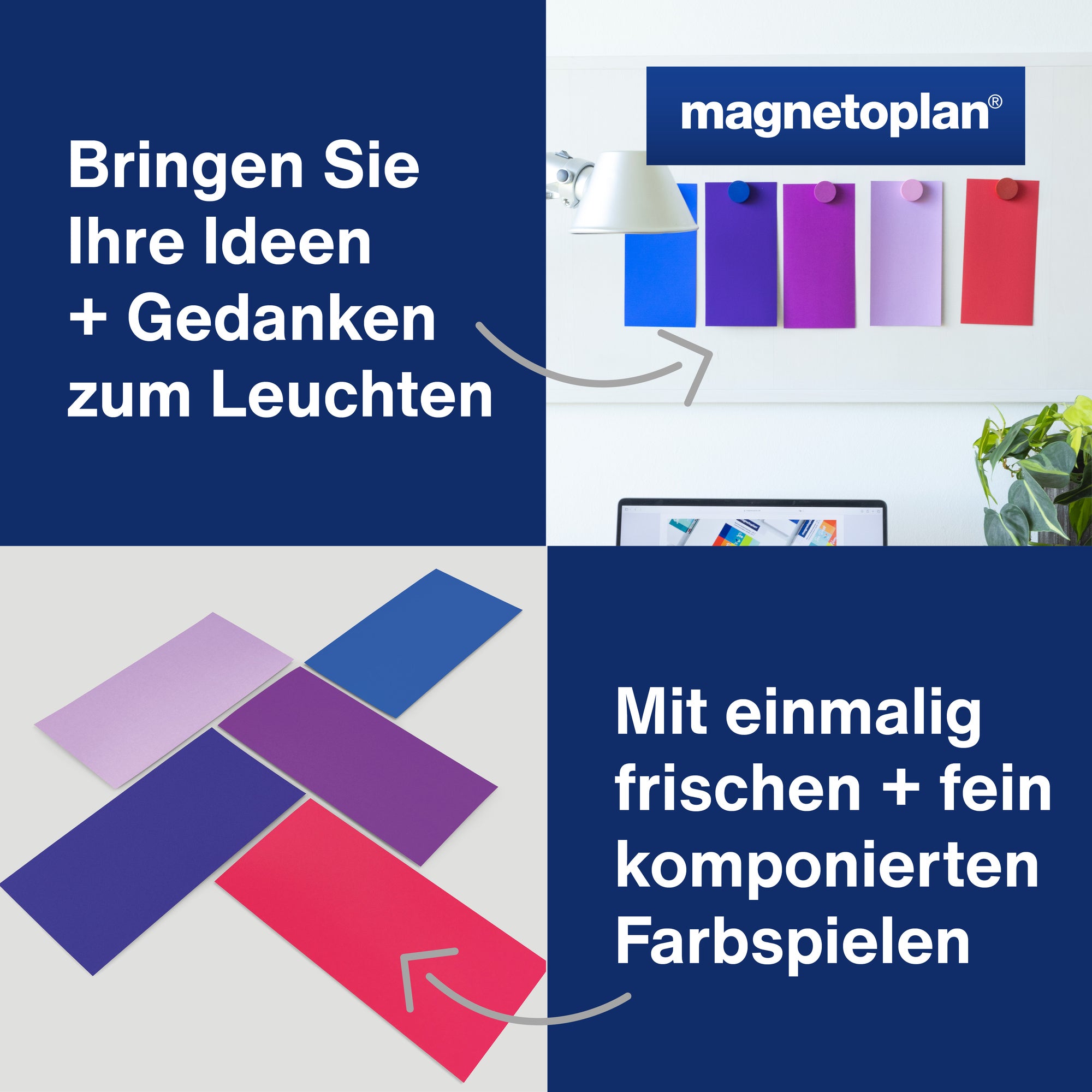 magnetoplan Moderationskarte Dawn