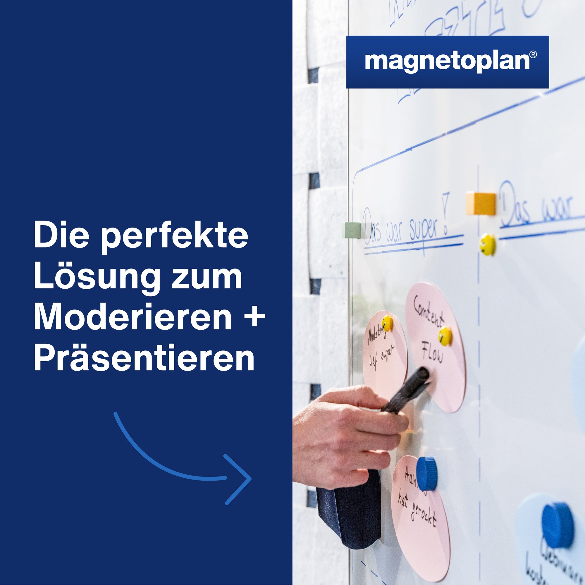 magnetoplan ModKarte Kreis 190 sort 250St