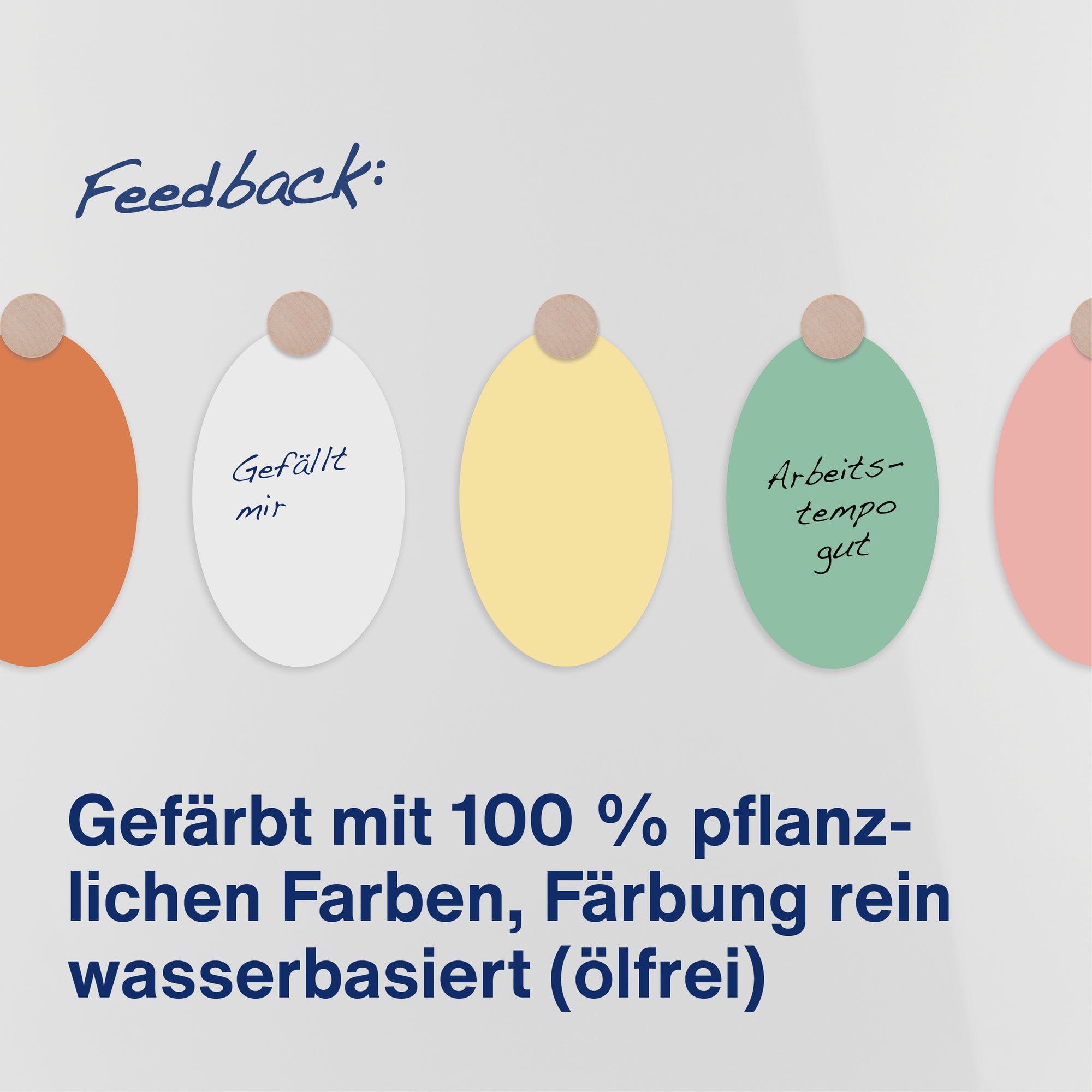 magnetoplan ModKarte Oval 192x111 sort 500St
