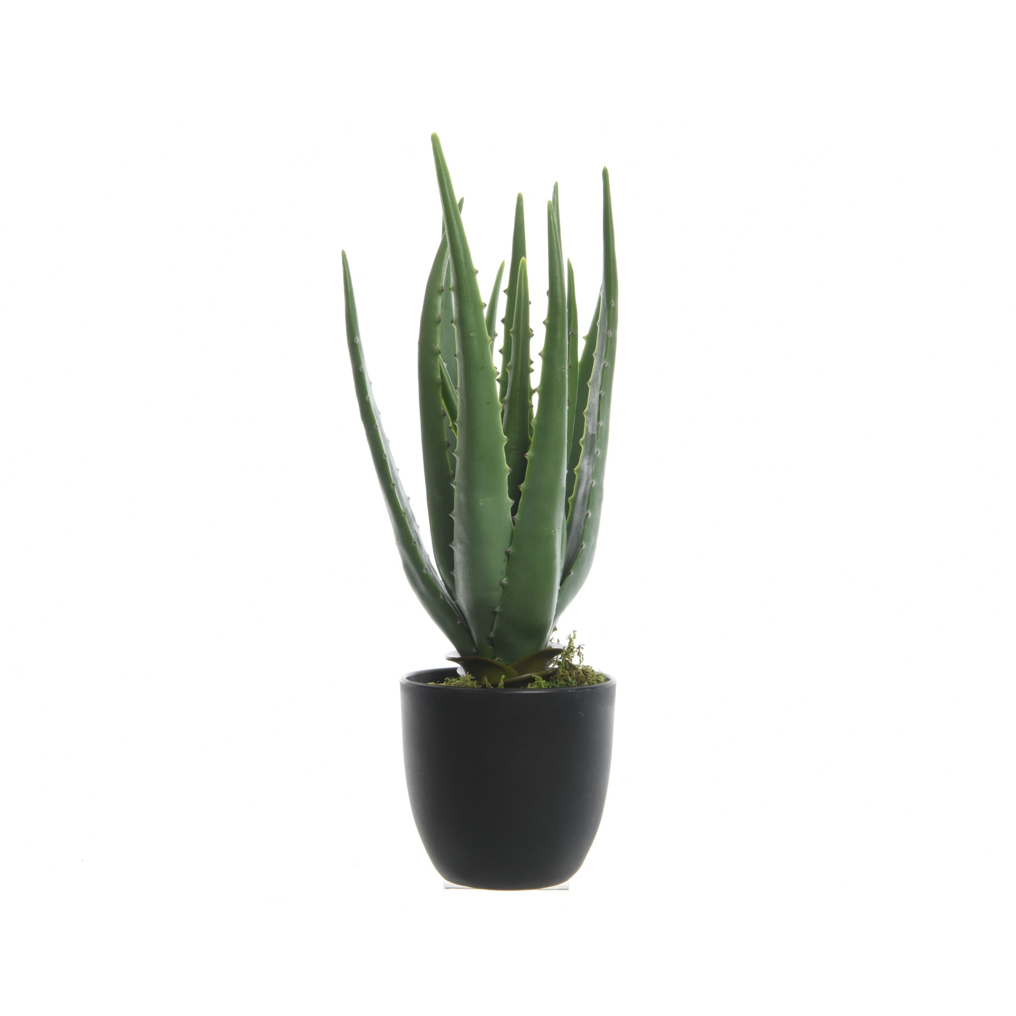 DECORIS Kunstpflanze