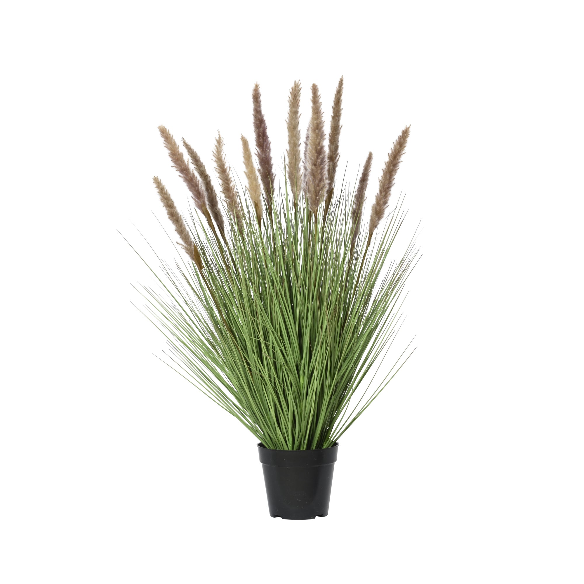 DECORIS Kunstpflanze