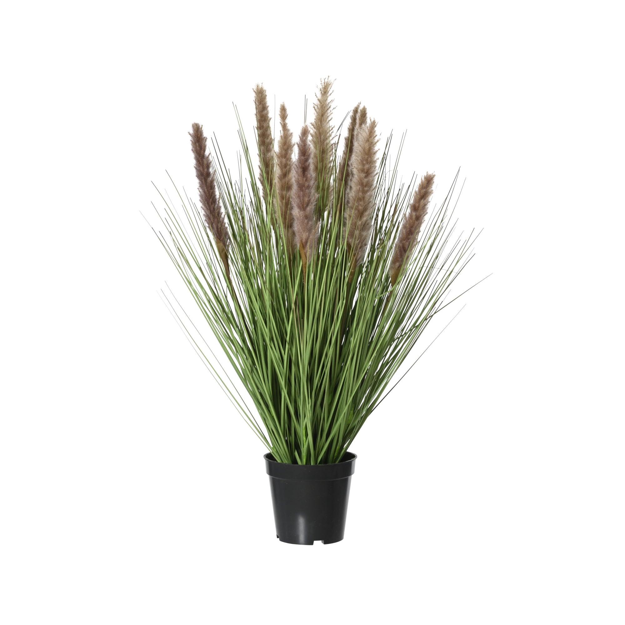 DECORIS Kunstpflanze