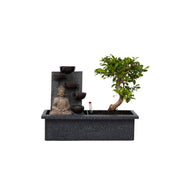 Bonsai Zimmerpflanze Bonsai Wasserfall Set Buddha