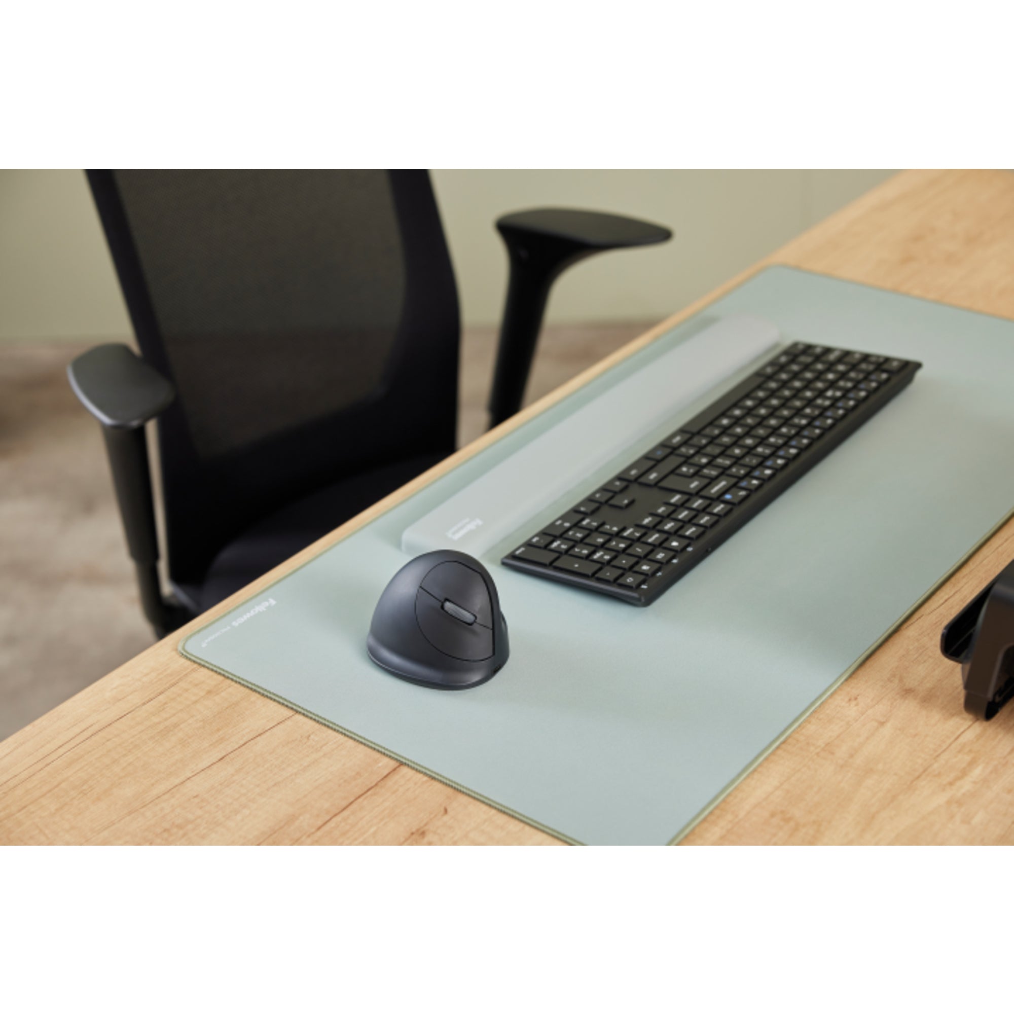 Fellowes Optische PC Maus BreytaT Plus+