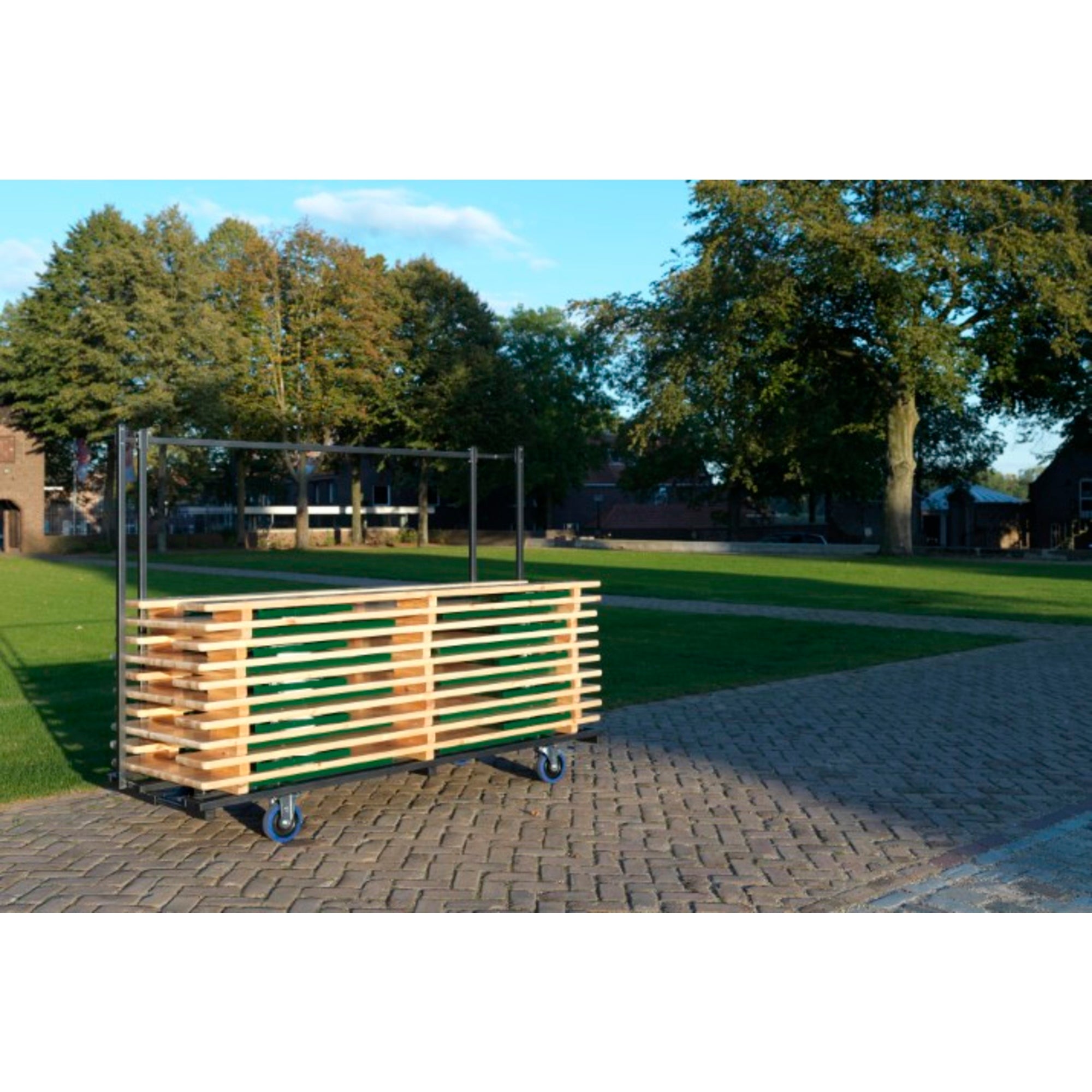 FEROS Transportwagen Professional