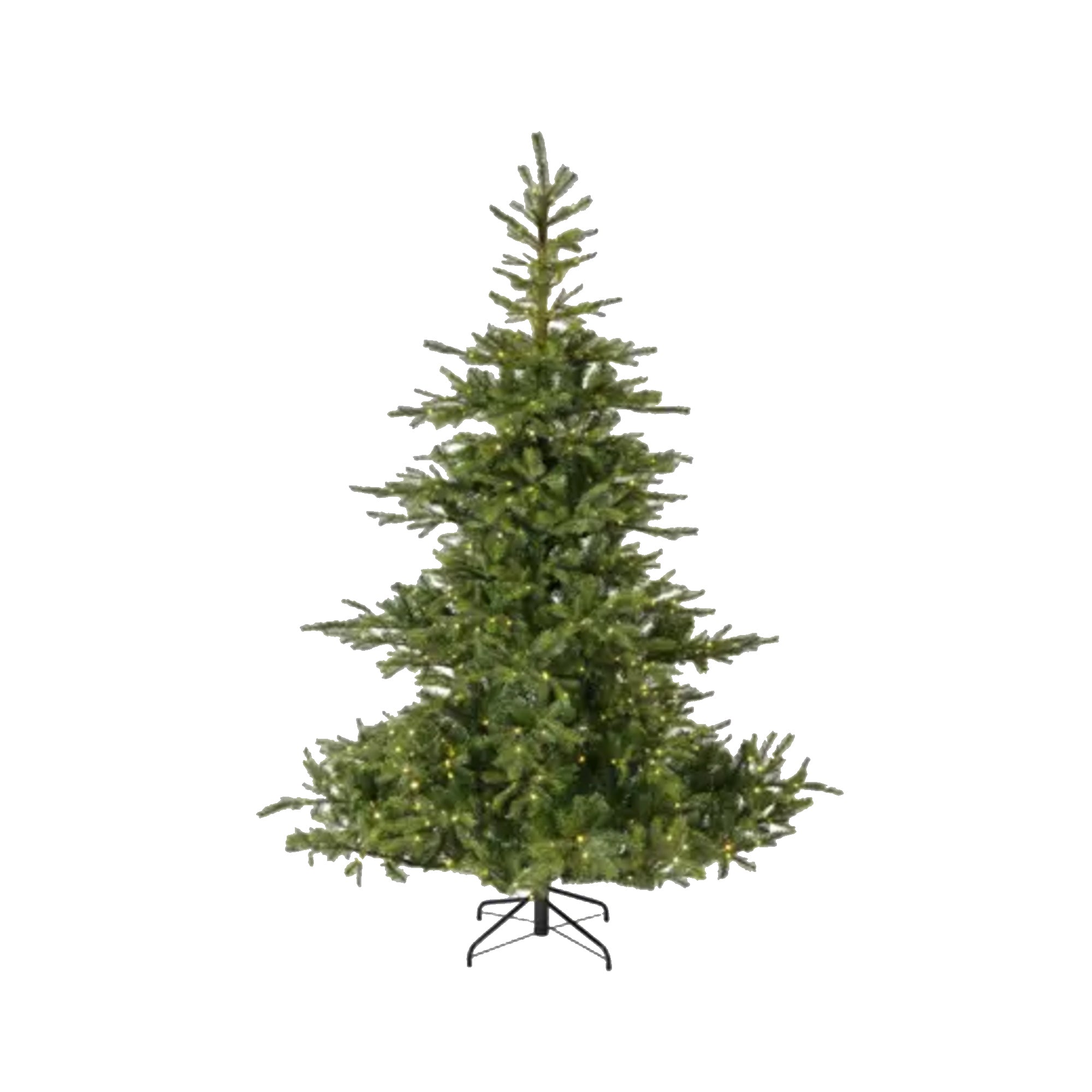 Everlands Weihnachtsbaum Grandis Fir