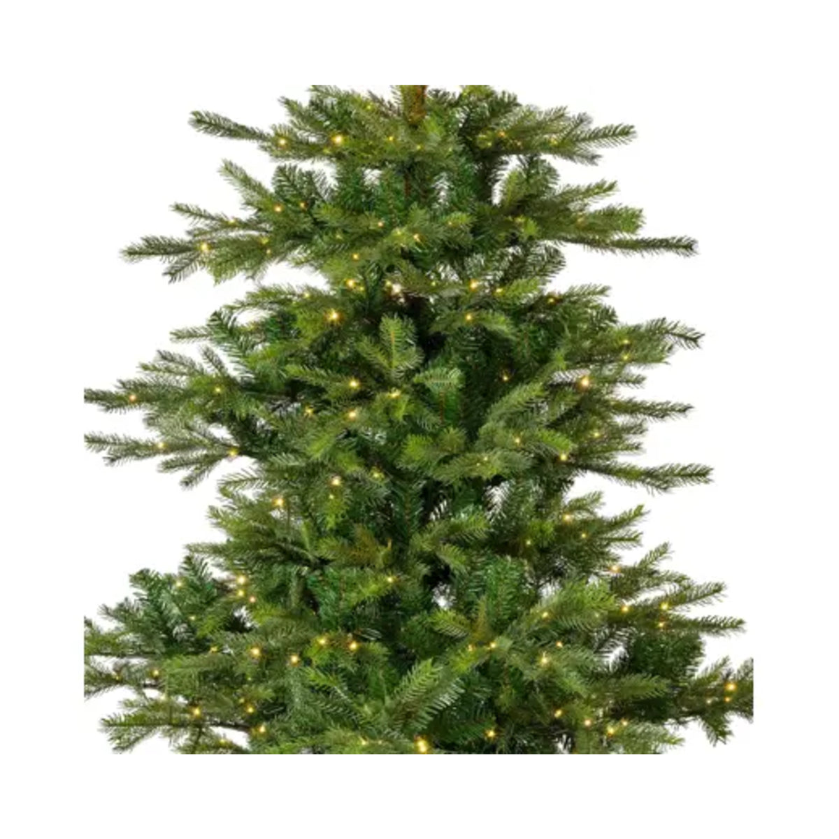 Everlands Weihnachtsbaum Grandis Fir