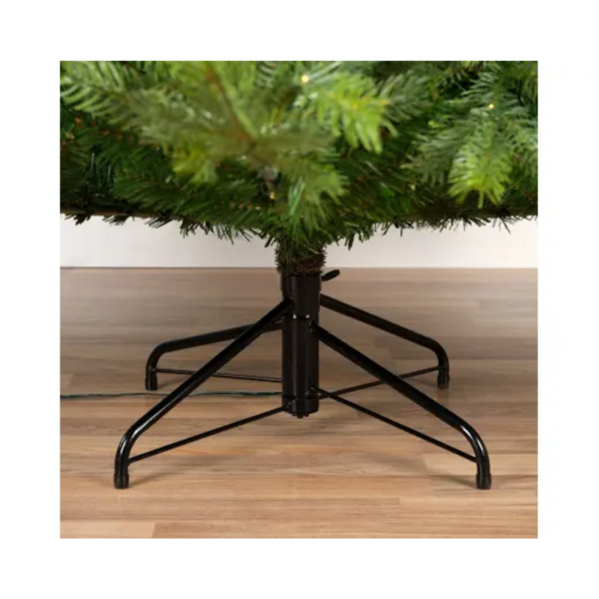 Everlands Weihnachtsbaum Grandis Fir