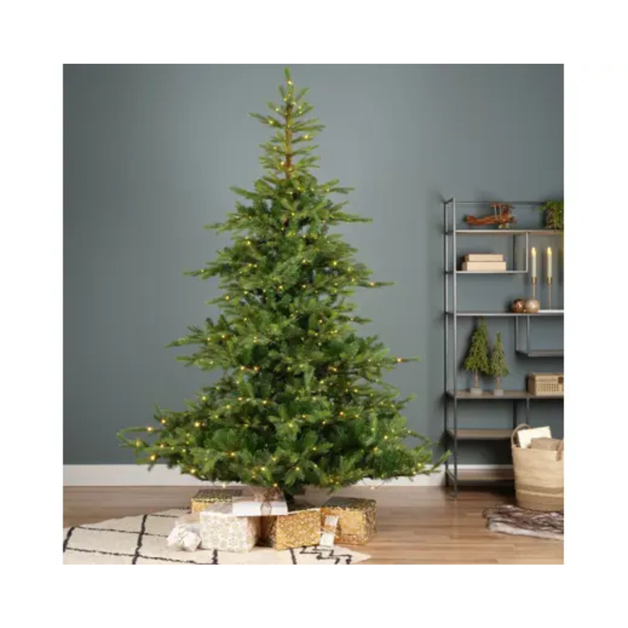 Everlands Weihnachtsbaum Grandis Fir