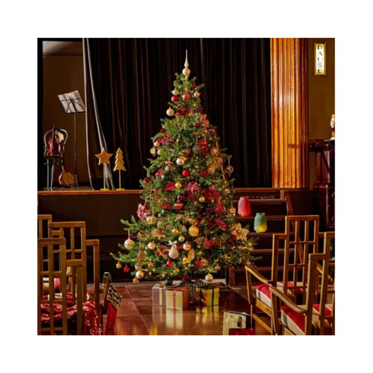 Everlands Weihnachtsbaum Grandis Fir
