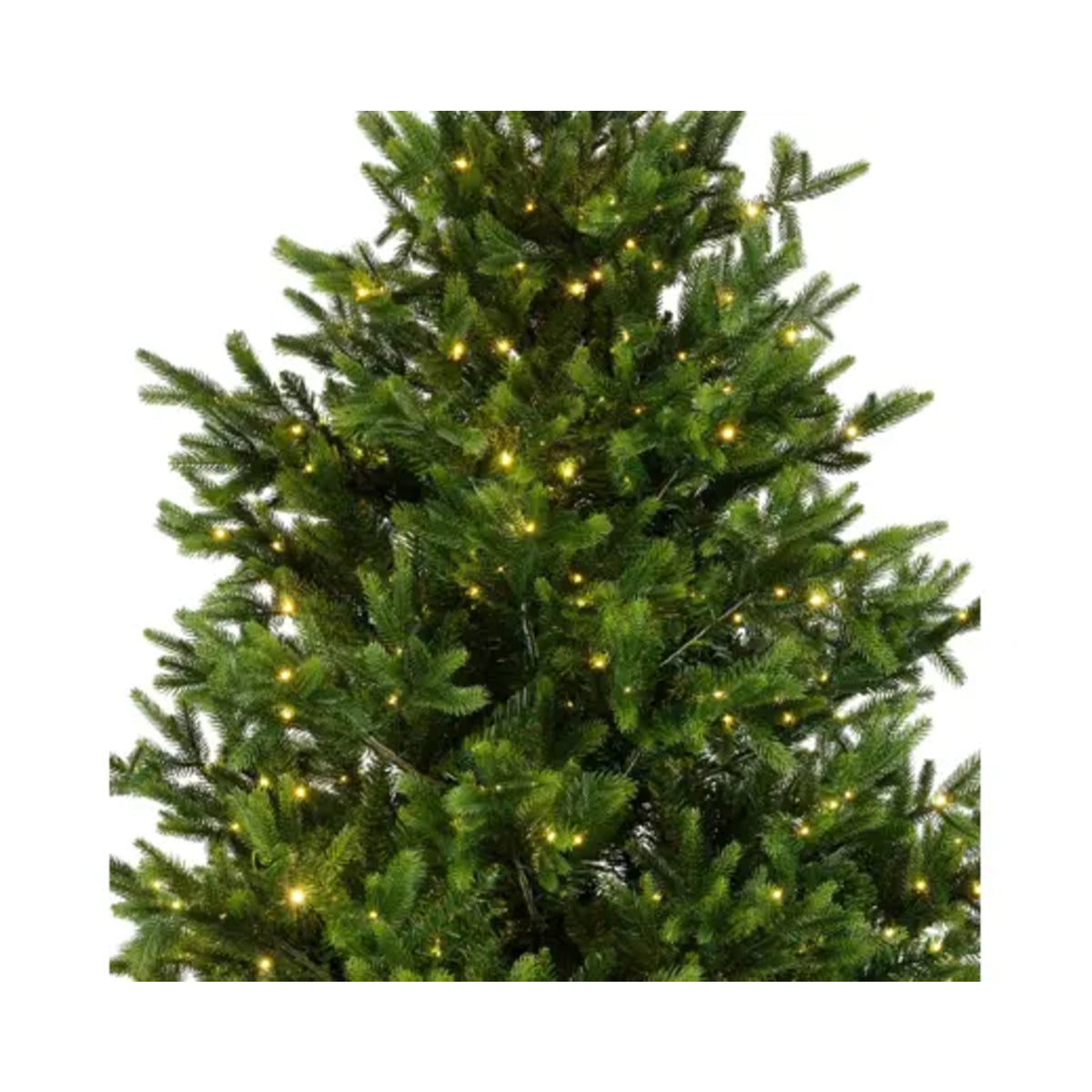 Everlands Weihnachtsbaum Nordmann Tanne