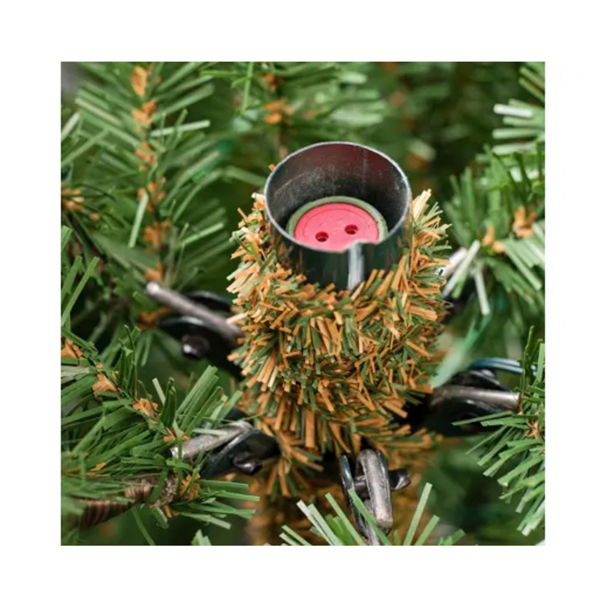 Everlands Weihnachtsbaum Nordmann Tanne