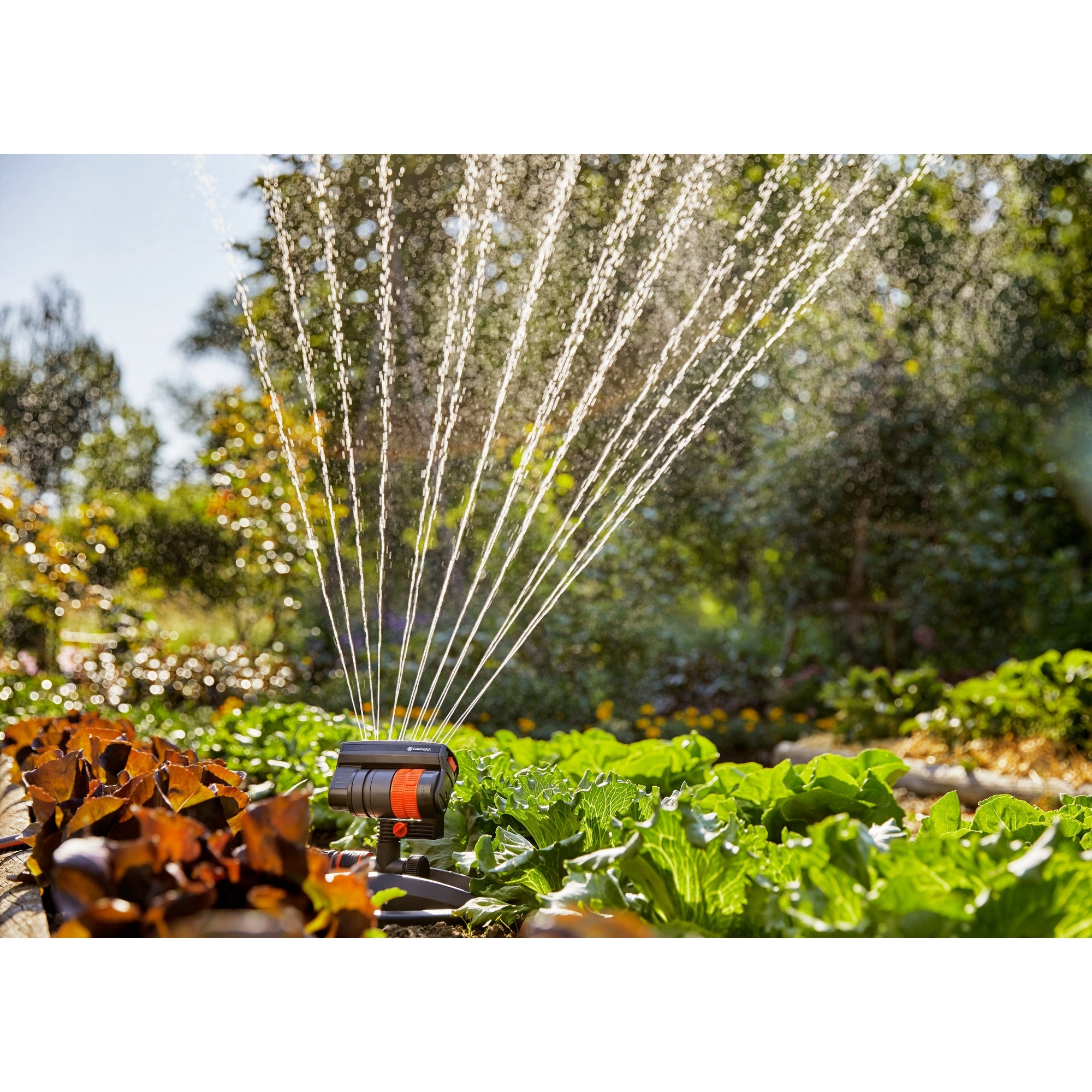 Gardena Rasensprenger AquaZoom compact