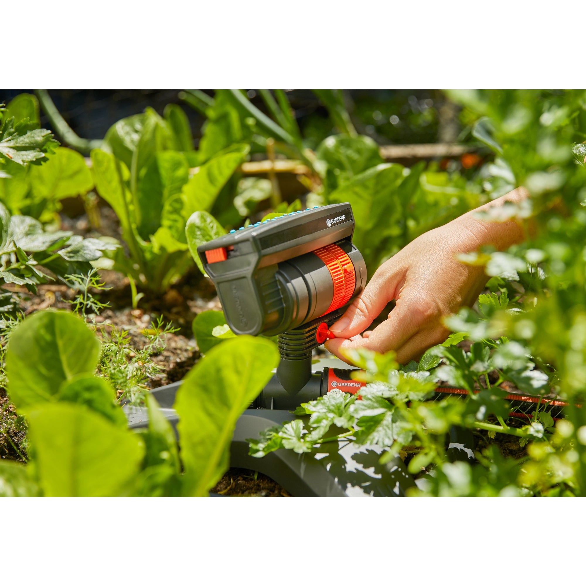 Gardena Rasensprenger AquaZoom compact