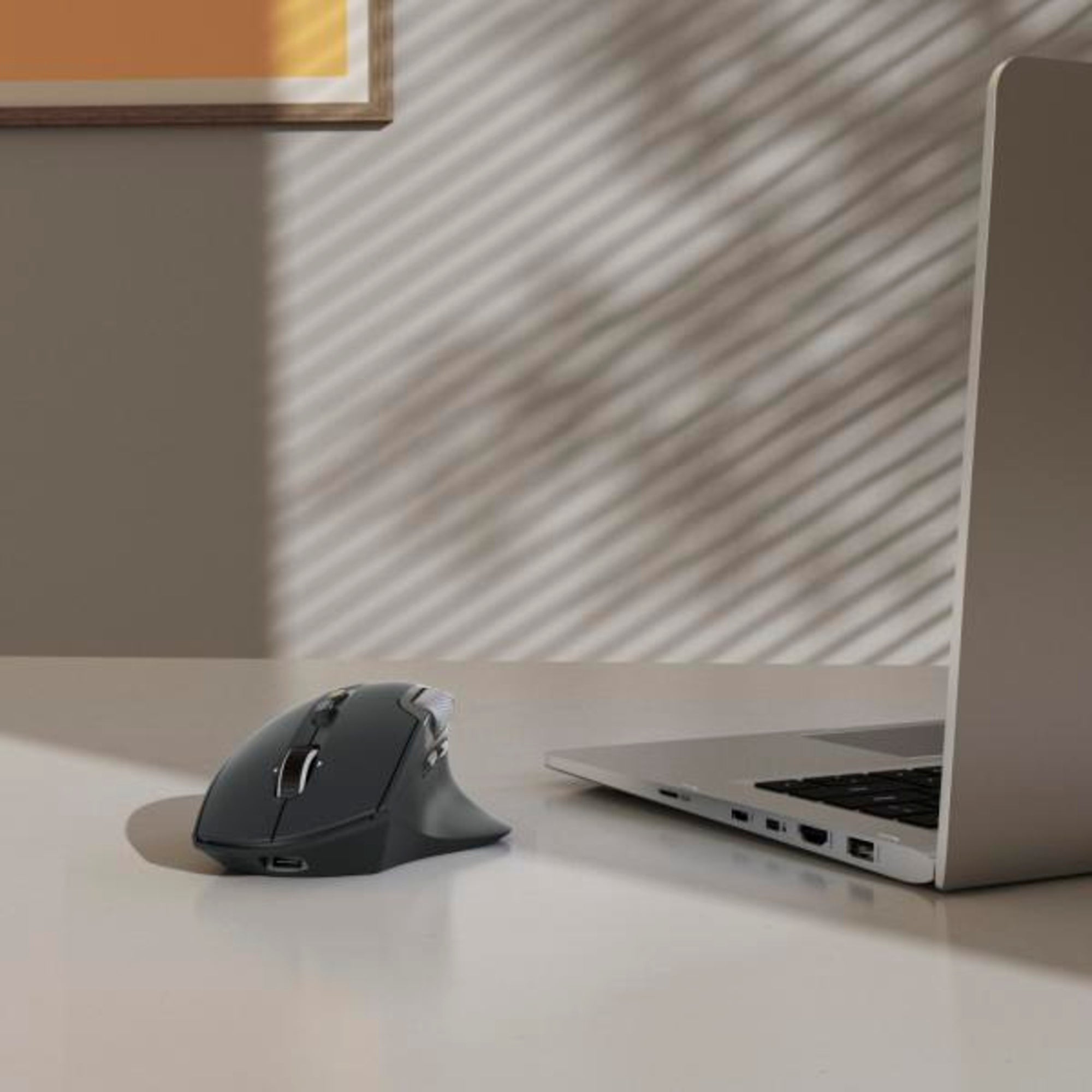 Hama Optische PC Maus WM-900