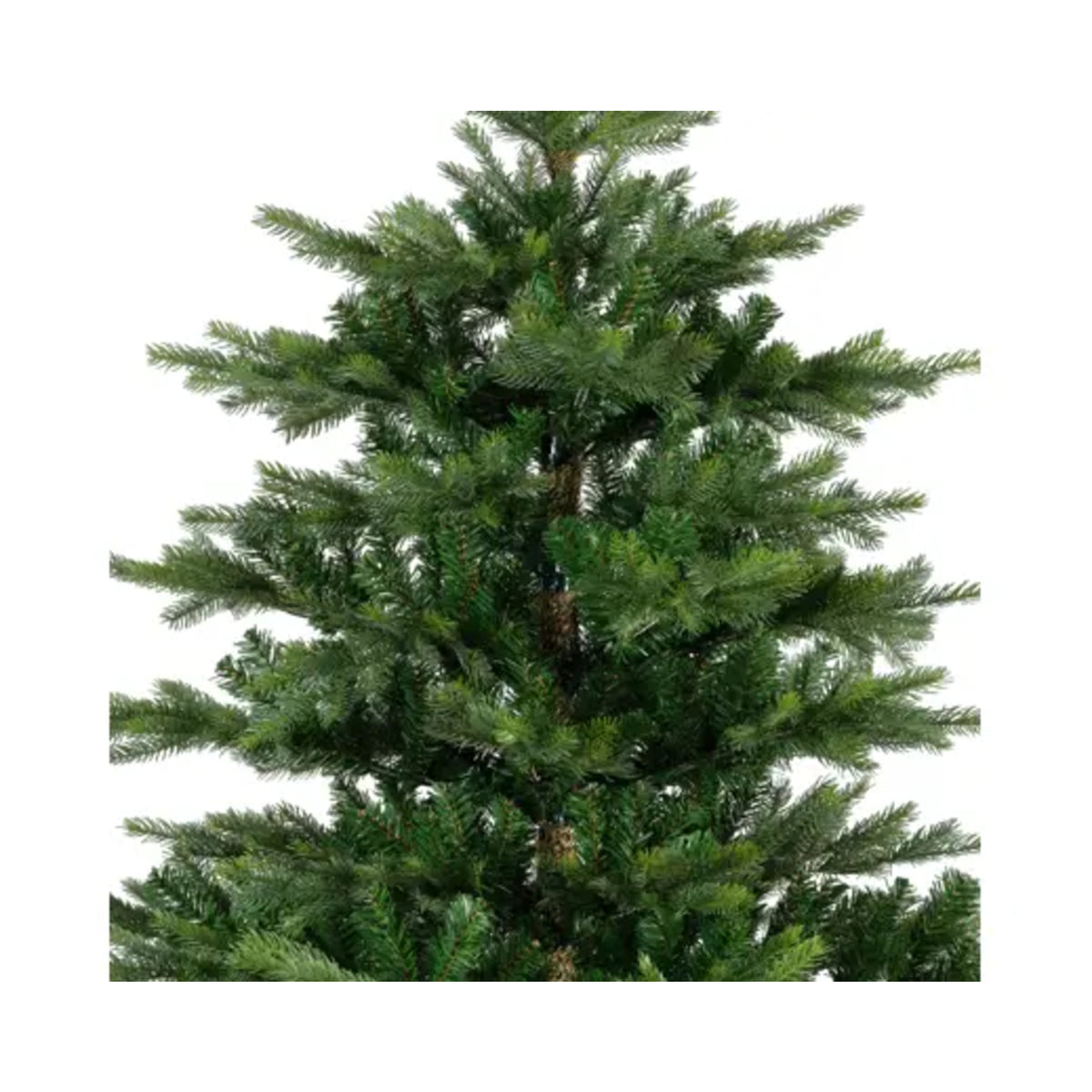 Everlands Weihnachtsbaum Grandis Fir