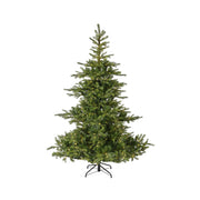 EVERLANDS Grandis Tanne LED 150x210cm