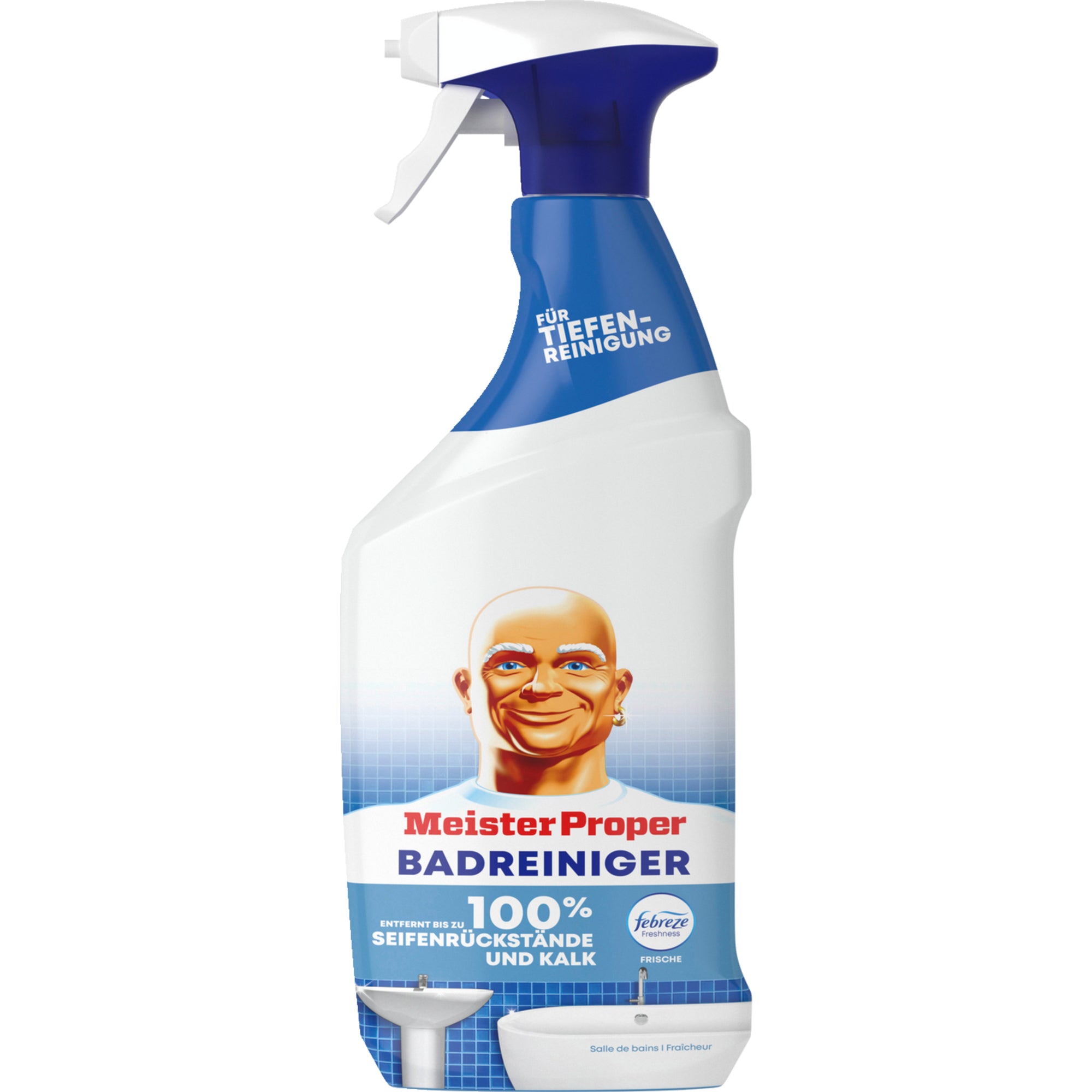 Meister Badreiniger