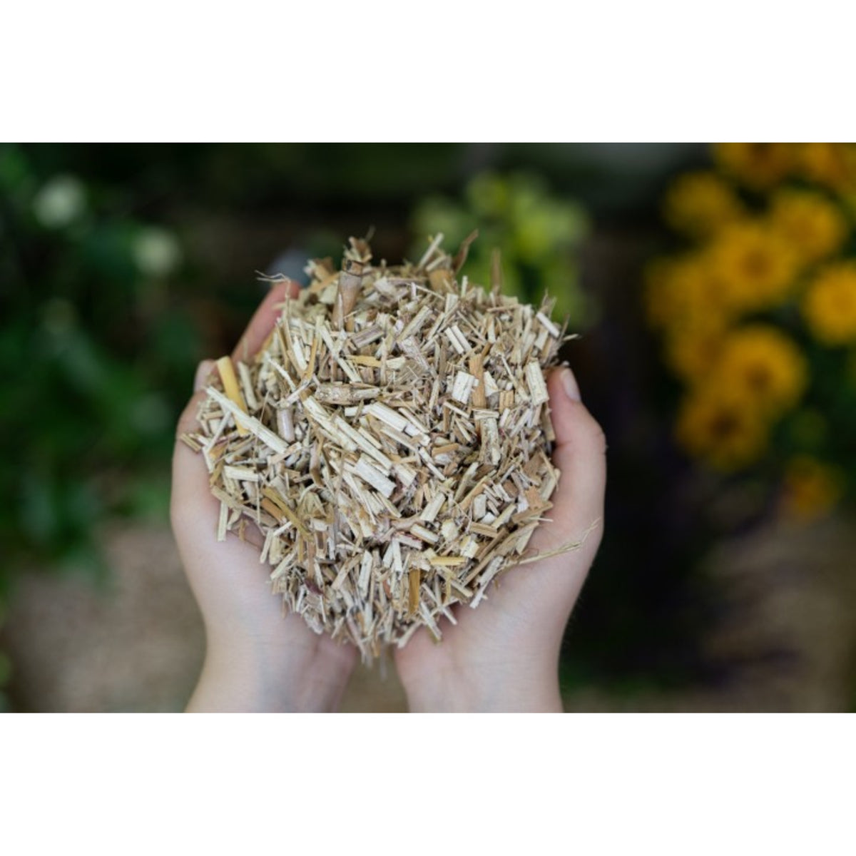 Floragard Mulch