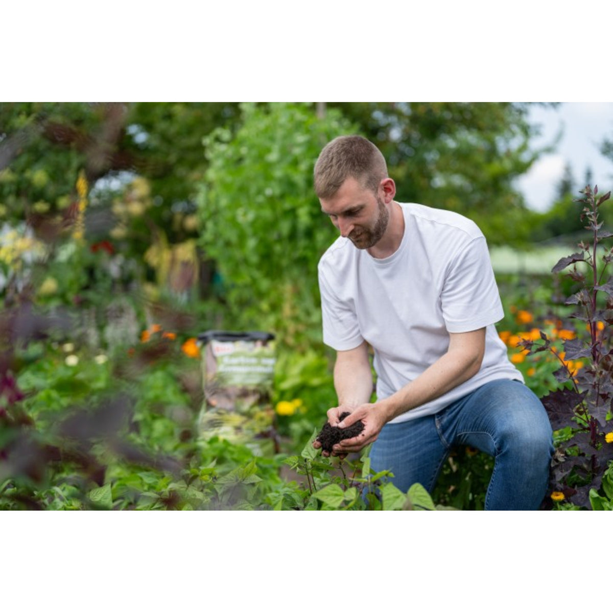 Floragard Mulch