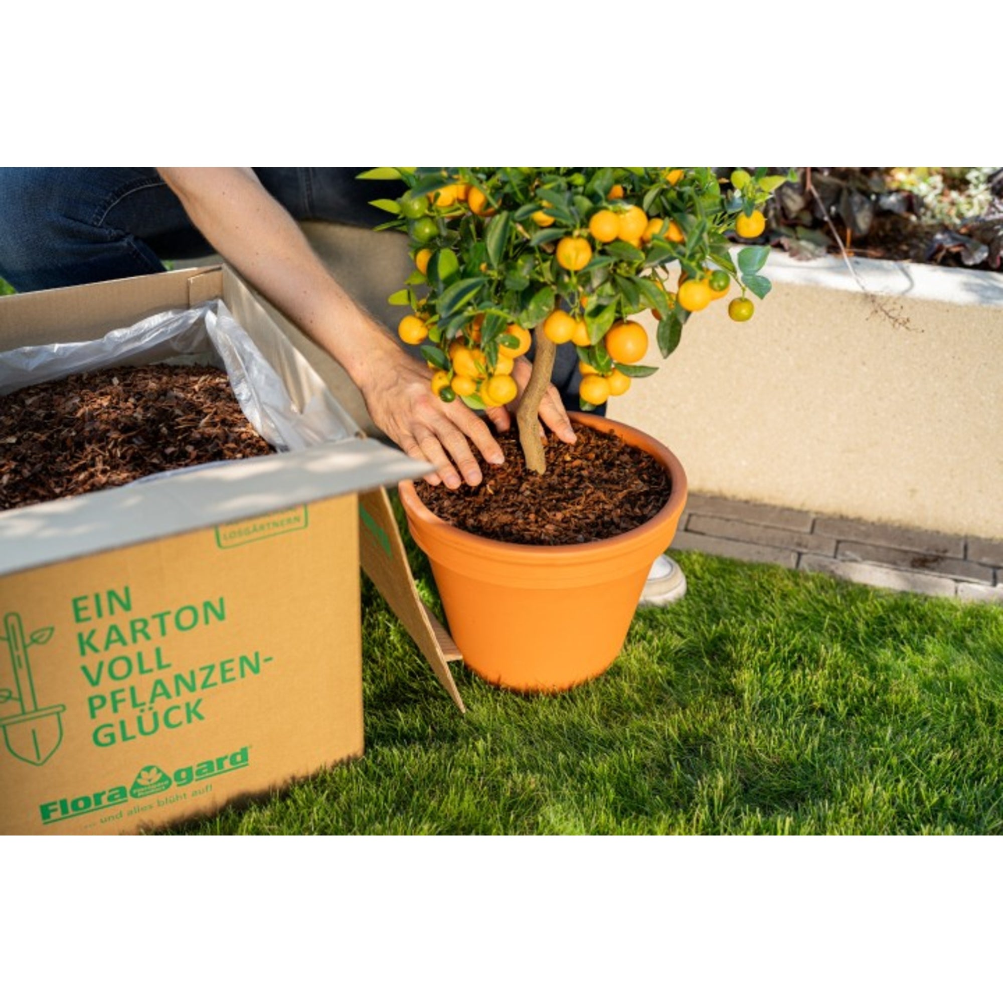 Floragard Mulch