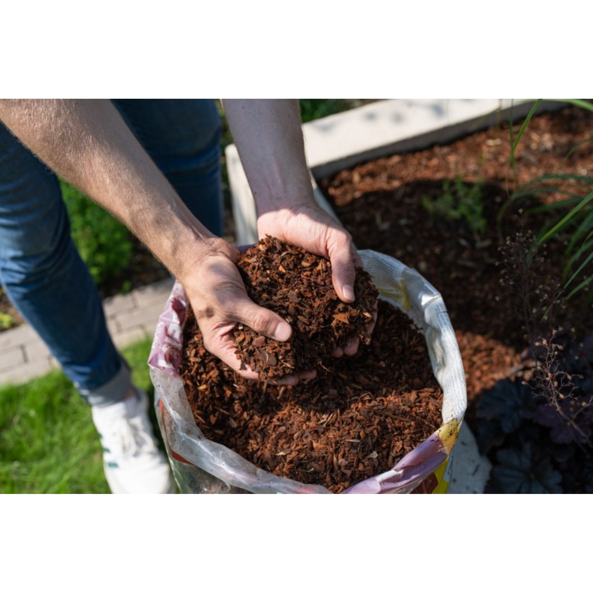 Floragard Mulch