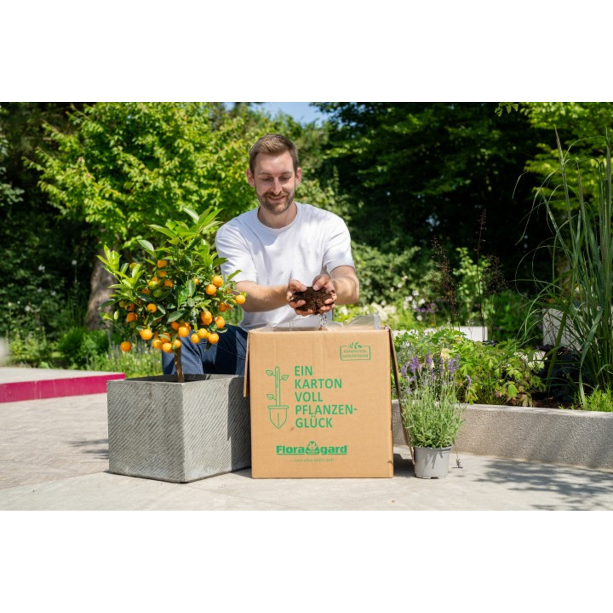 Floragard Blumenerde
