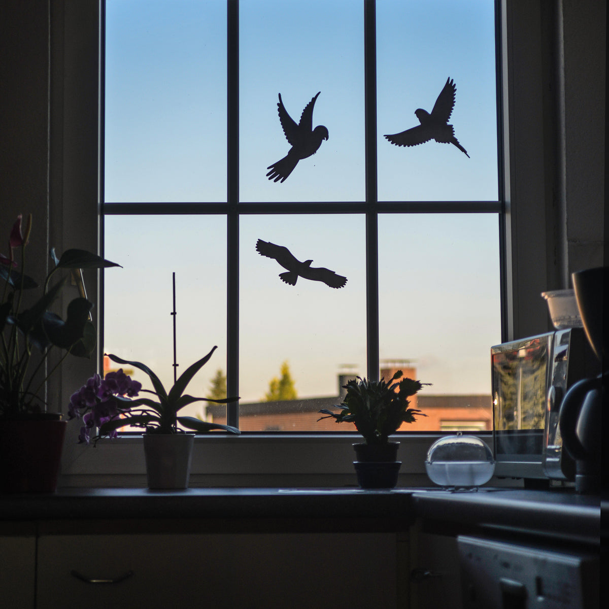 Gardigo Fensterwarnvogel